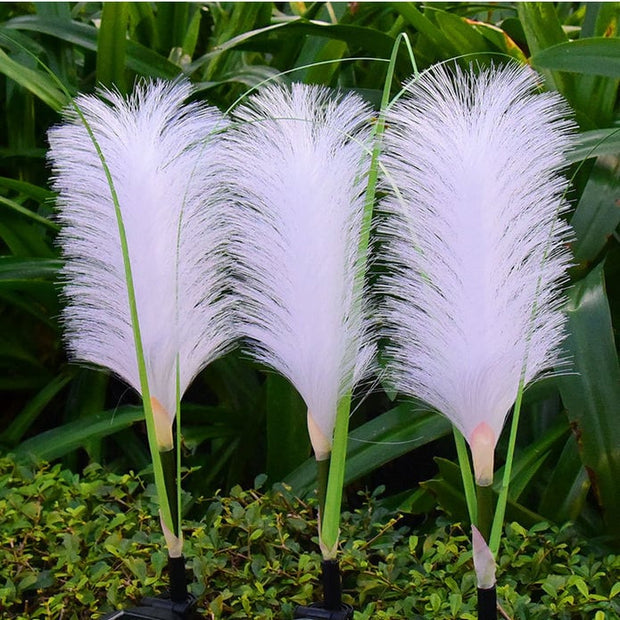 🔥Last Day 70% OFF - Solar Garden Lights Fiber Optic Reed Light